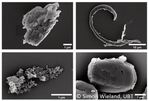 Mikropartikel unter dem Elektronemikroskop: Eigenschaften wie Größe, Form und Oberflächenbeschaffenheit von Mikropartikeln beeinflussen deren Gefährungspotential für den Menschen