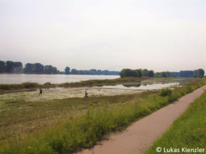 DFG-Sonderforschungsbereich 1357 Mikroplastik: Probennahme in der Rheinaue Langel-Merkenich