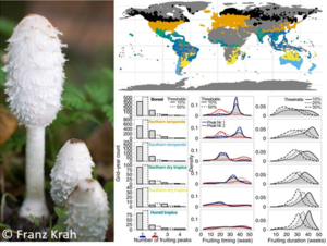 Forschungsergebnisse zu einer Studie zum Einfluss des Klimas auf das globale Pilzvorkommen